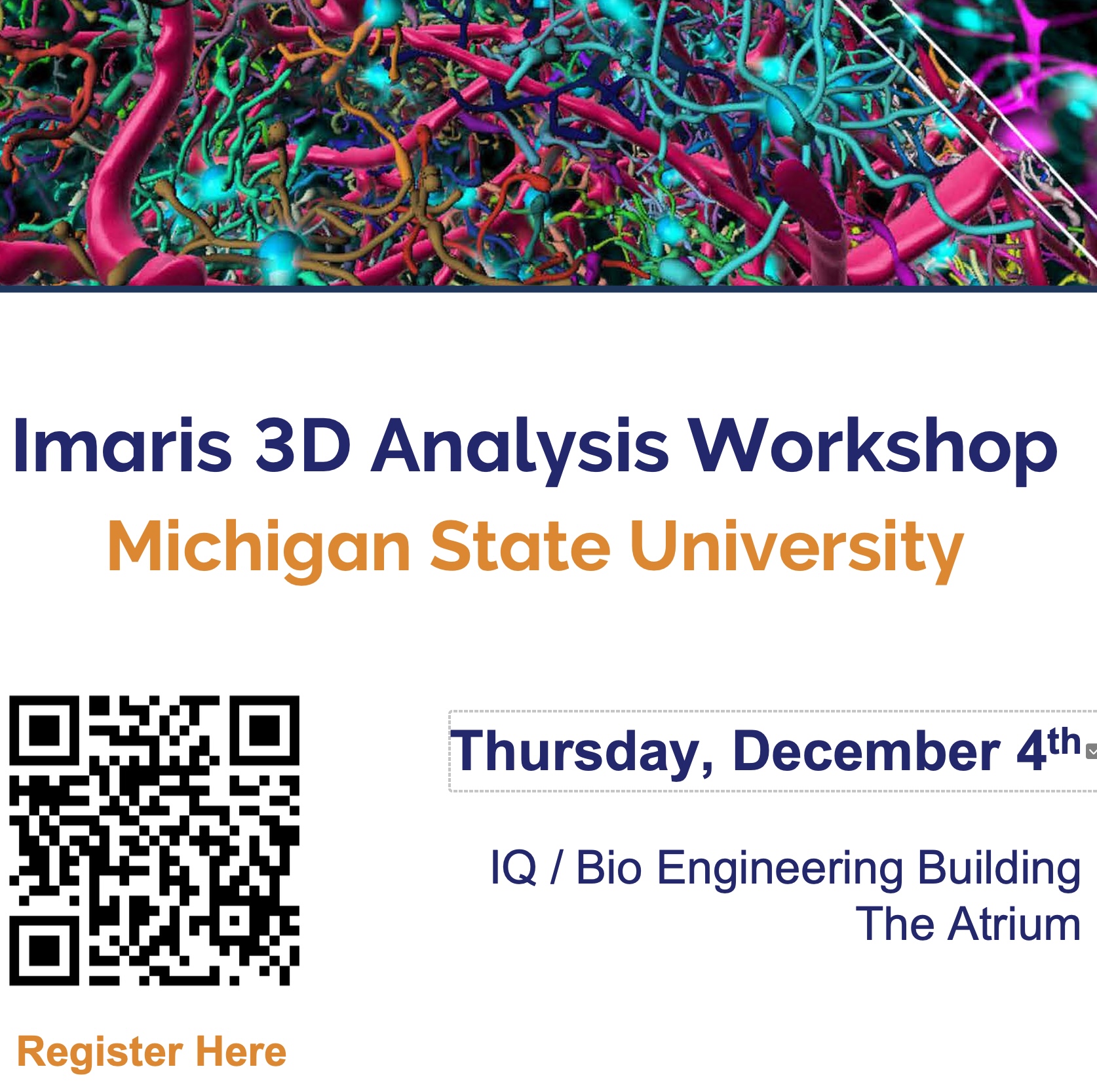 Imaris image analysis workshop, Thursday December 4th, contact Sara Makaremi